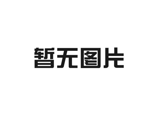 上海市“专精特新”中小企业